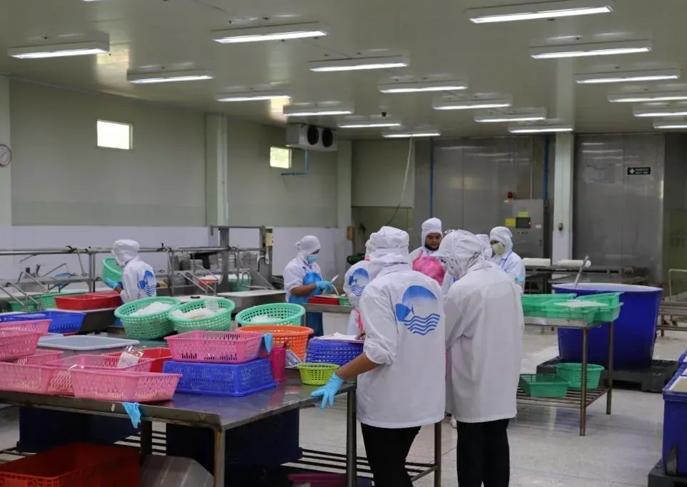 Ocean Fishery staff in hairnets and company uniforms working at stainless-steel tables in the processing hall