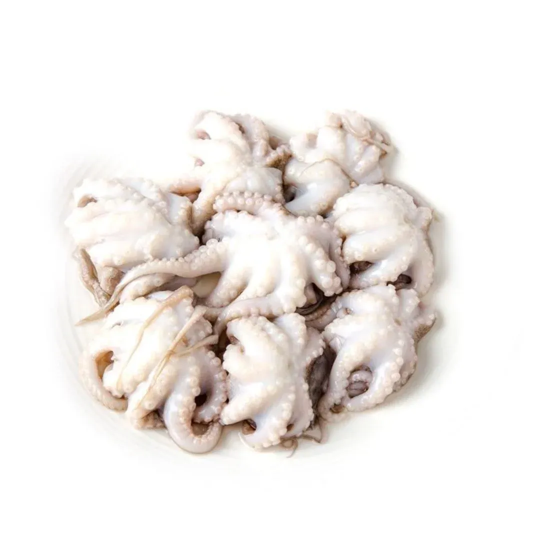 Whole Cleaned Octopus