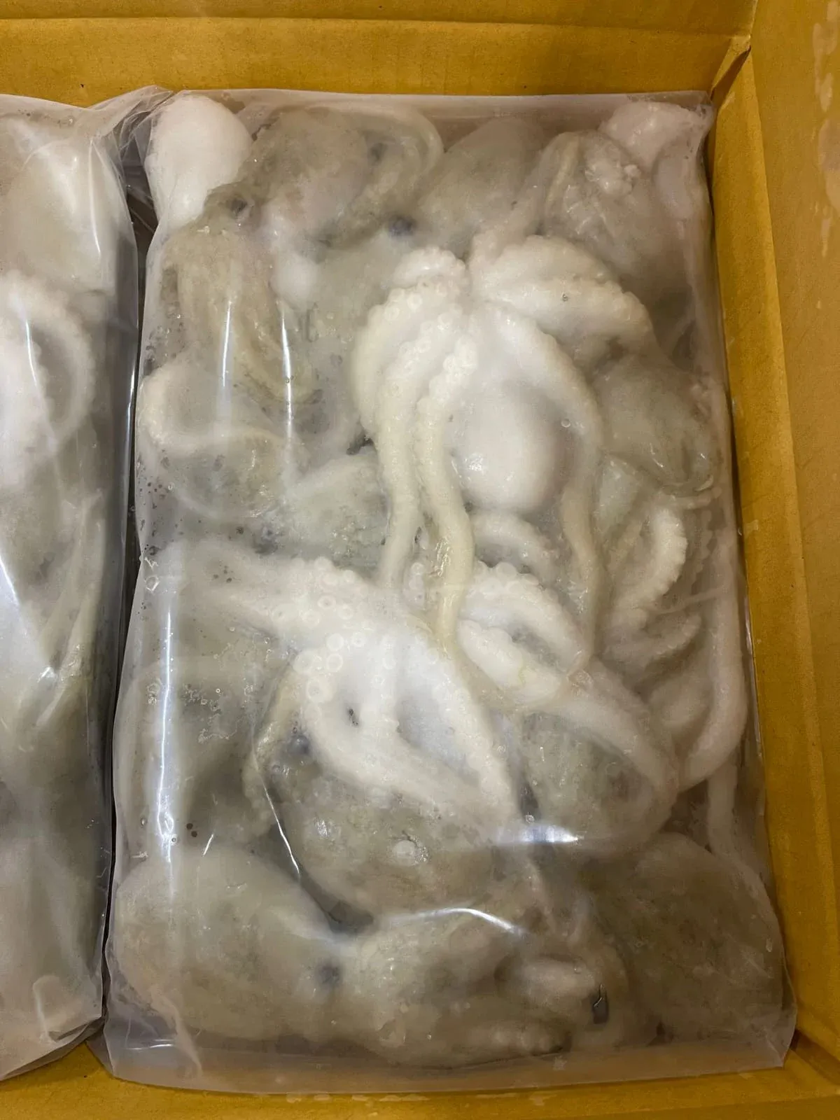 Whole Cleaned Octopus (2)