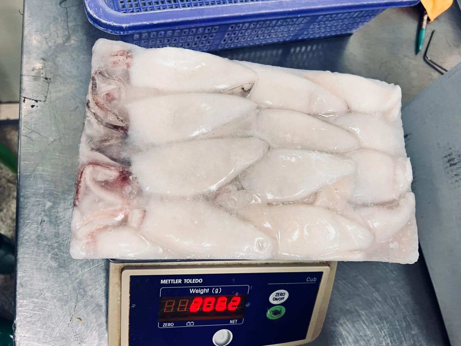 Ocean Fishery | Quality Frozen Seafood Company